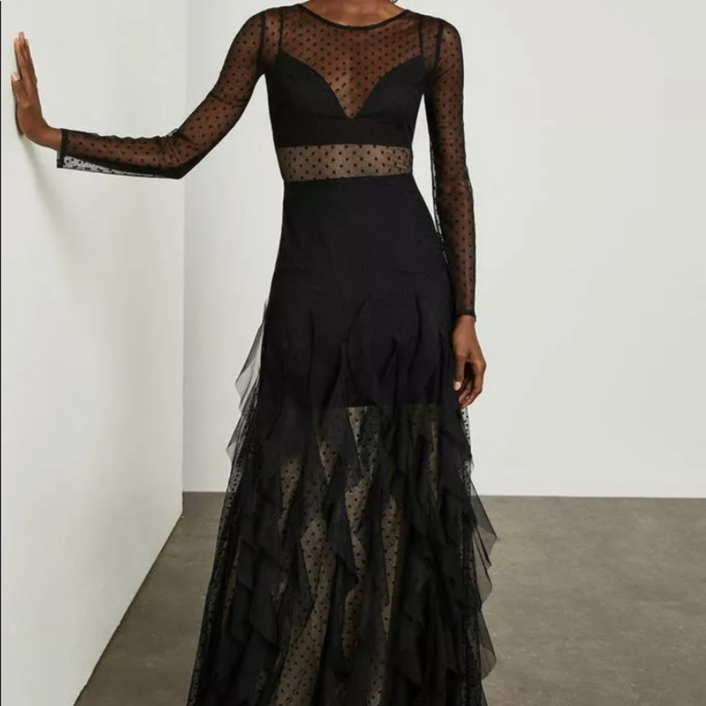 Rare gorgeous BCBG ruffle sheer gown